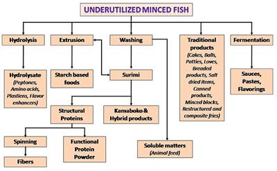 Functional proteins through green refining of seafood side streams